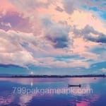 Avatar of Daniyal Haider